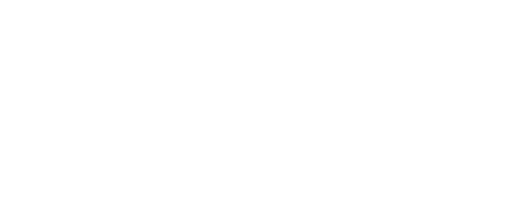 Bright Wash Logo White